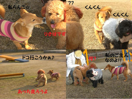 7d347cca.jpg