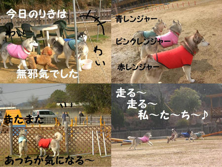 63a4a04a.jpg