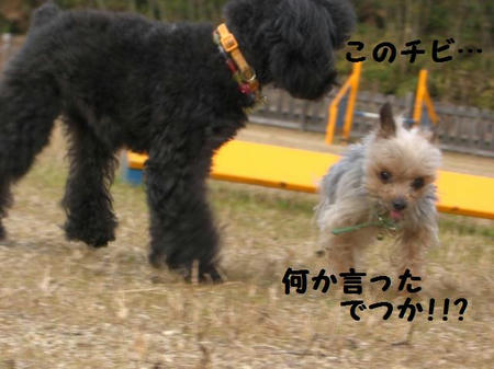51014996.JPG