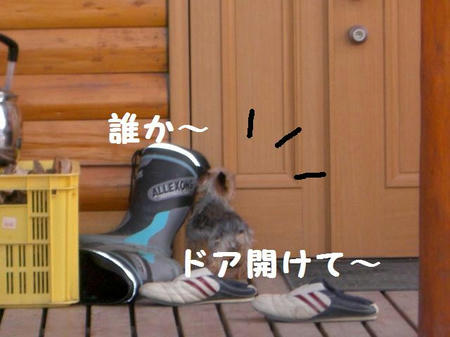 ac0dd3a2.JPG