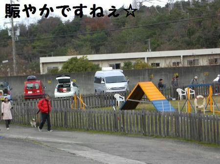 7d7bf005.JPG