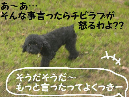 67690bd4.JPG