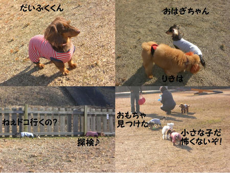 765d6f00.jpg
