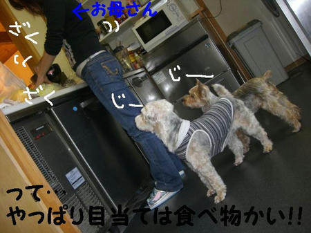 935434f5.JPG