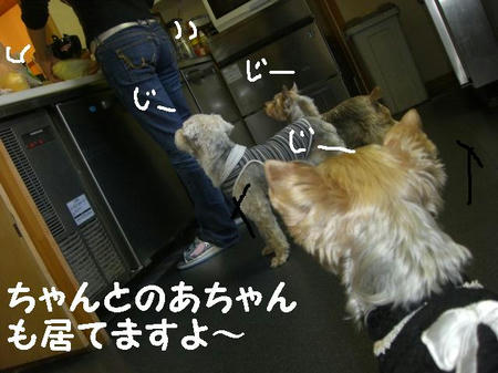 45661807.JPG