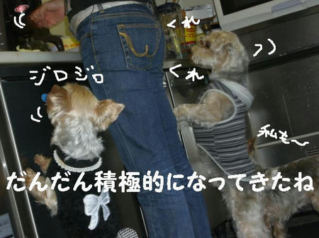 1708a6d8.JPG