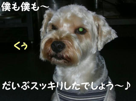 f24b27f0.JPG