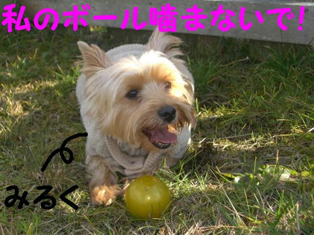 0081cfde.JPG