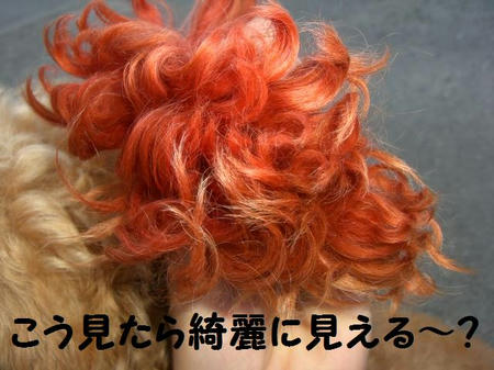 6f452522.JPG