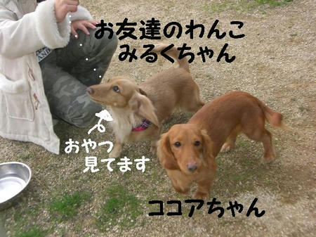 CIMG5260.JPG