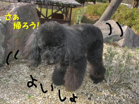 CIMG5321.JPG