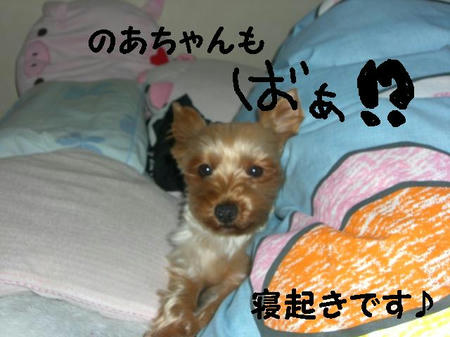 CIMG5294.JPG