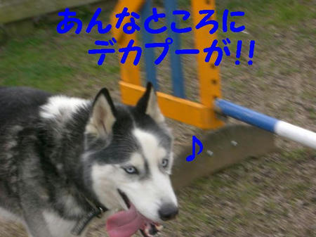 CIMG5349.JPG
