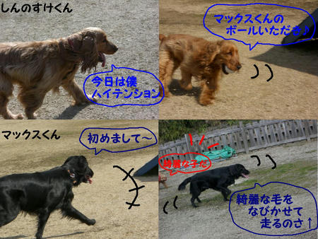 b014b66f.JPG