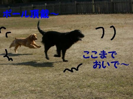 CIMG5463.JPG