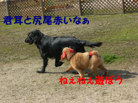 CIMG5468.JPG