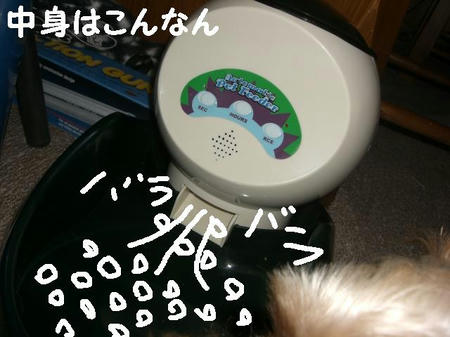 CIMG5482.JPG