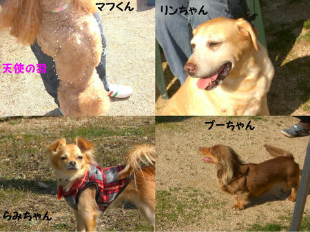 298d7075.JPG