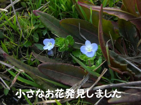 CIMG5659.JPG