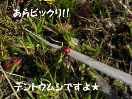 CIMG5667.JPG