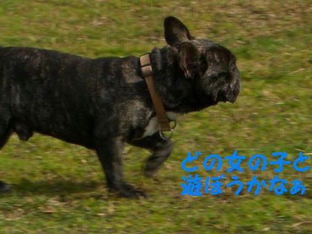CIMG5725.JPG