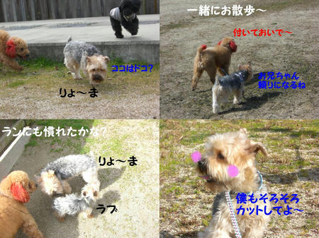 7d311acc.JPG