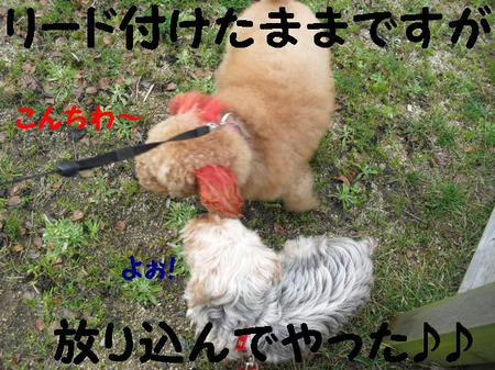 CIMG0077.JPG