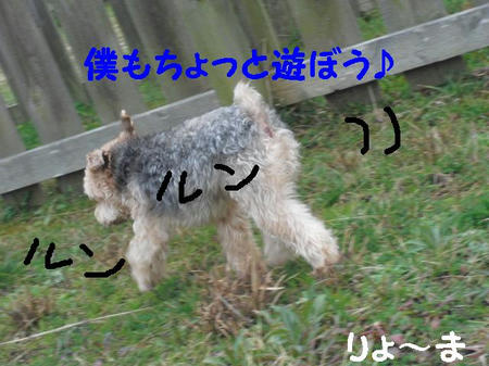 CIMG0098.JPG