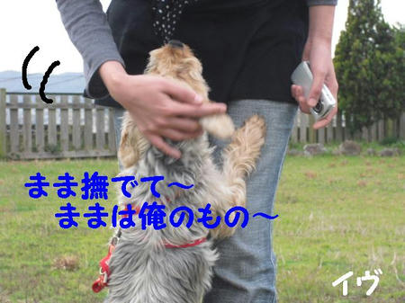 CIMG0099.JPG