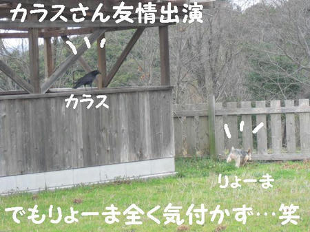 CIMG0108.JPG