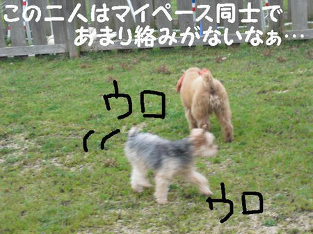 CIMG0138.JPG