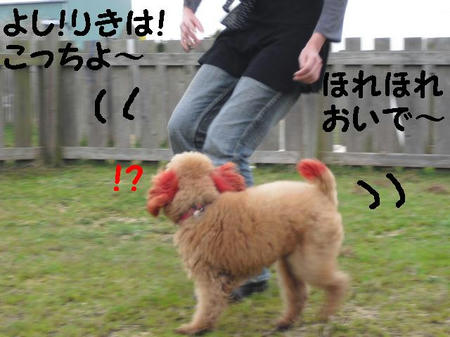 CIMG0140.JPG