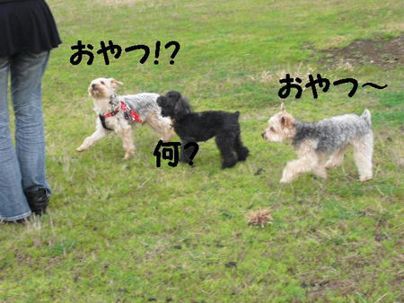 CIMG0132.JPG