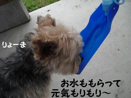 CIMG0136.JPG