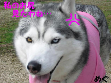 CIMG0180.JPG