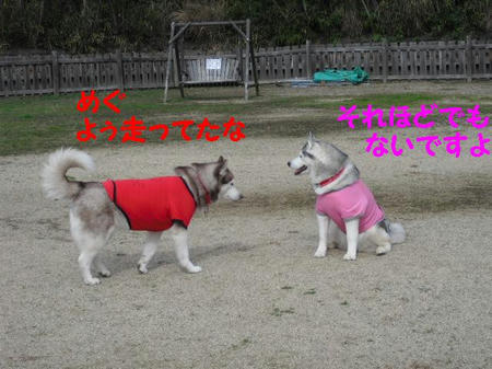 CIMG0192.JPG