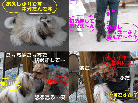 0653d30f.JPG