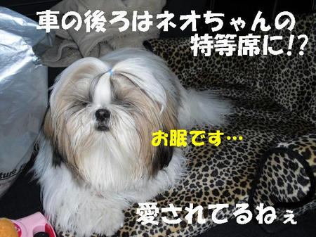 CIMG0171.JPG