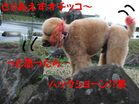 CIMG0212.JPG