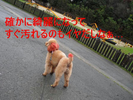 CIMG0217.JPG