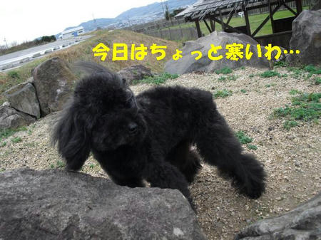 CIMG0281.JPG