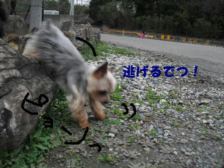 CIMG0294.JPG