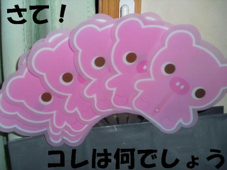 CIMG0305.JPG