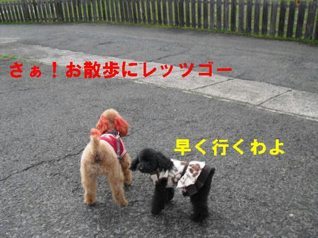 CIMG0371.JPG