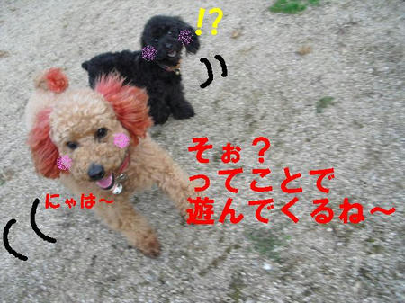 CIMG0420.JPG