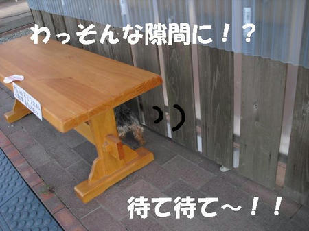 CIMG0437.JPG