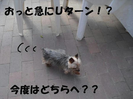 CIMG0439.JPG