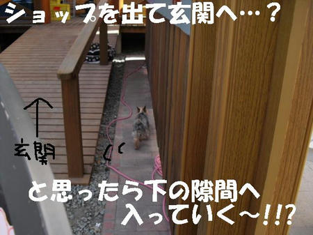 CIMG0440.JPG