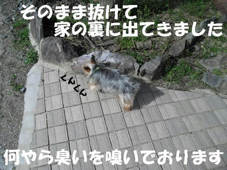 CIMG0443.JPG