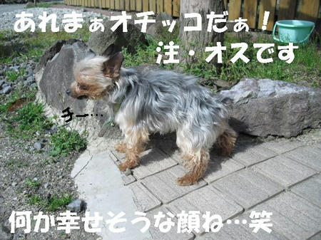 CIMG0444.JPG